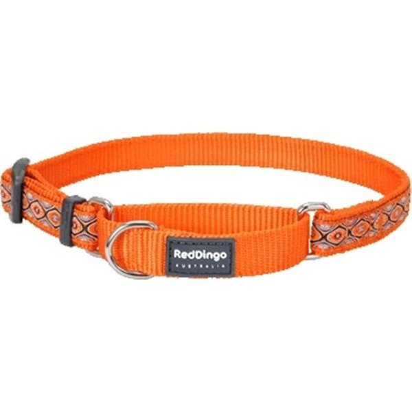 Red Dingo Red Dingo MC-SE-OR-ME Martingale Dog Collar Design Snake Eyes Orange; Medium MC-SE-OR-ME